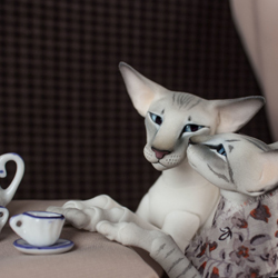 cat bjd doll